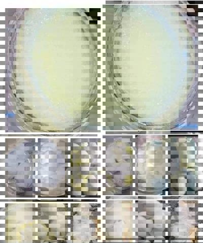 خير بلدي لمنتجات الألبان الطبيعية